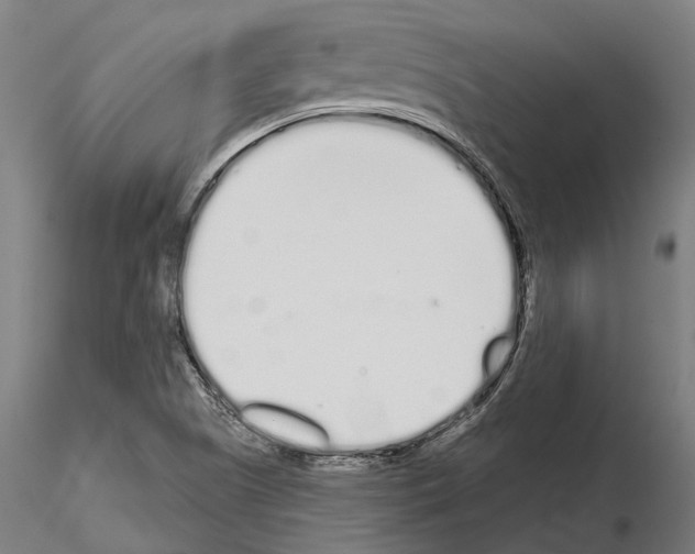 X0000115111505200912081310