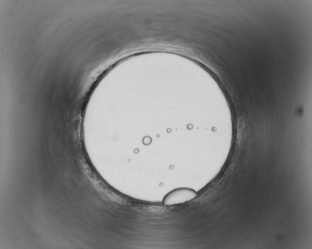 X0000115111507200912081310