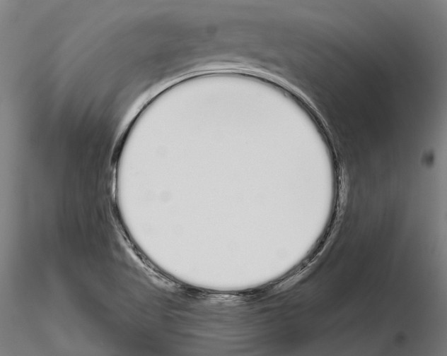 X0000115111509200912081310