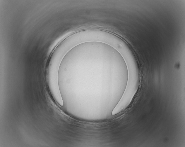 X0000115111510200912081310