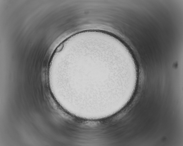 X0000115111513200912081310