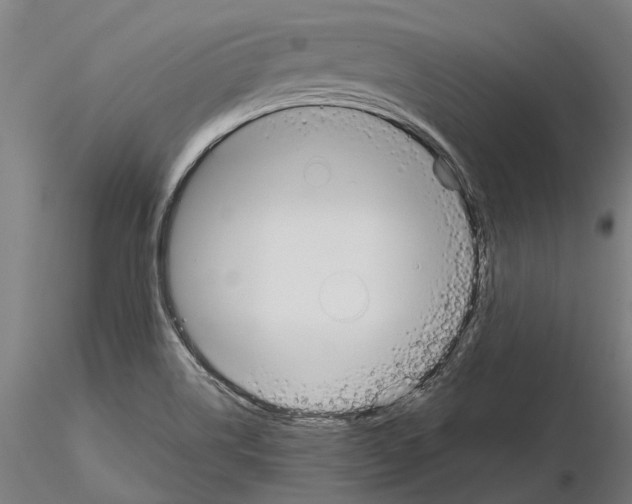 X0000115111514200912081310