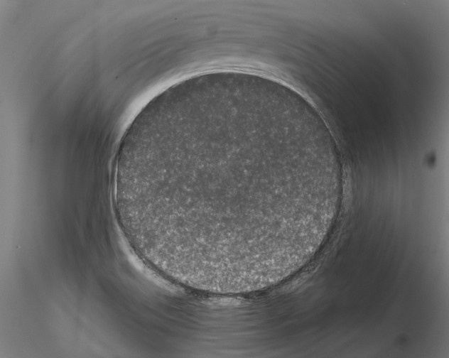 X0000115111515200912081310