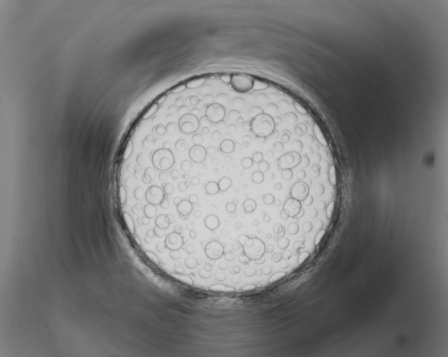 X0000115111517200912081310