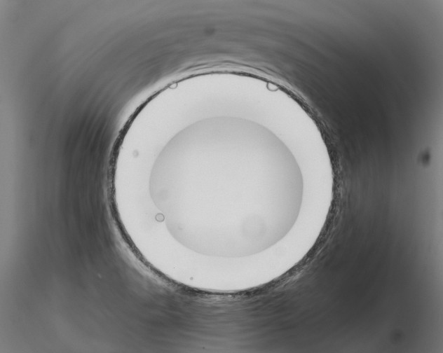 X0000115111518200912081310