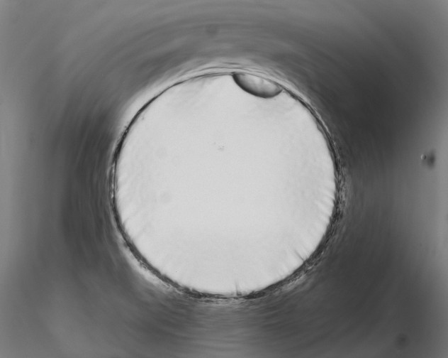 X0000115111519200912081310