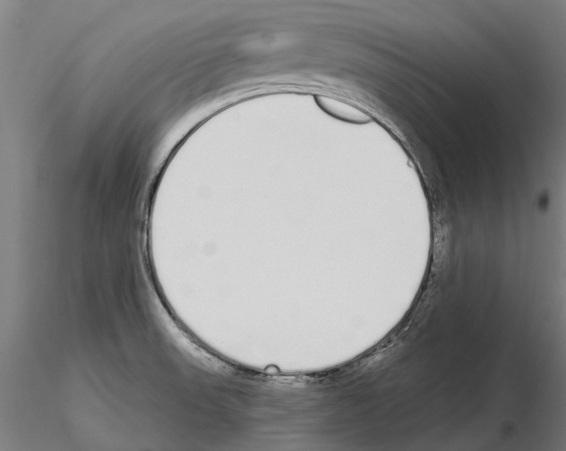 X0000115111523200912081310