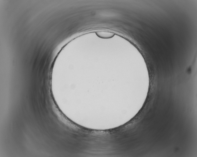 X0000115111526200912081310