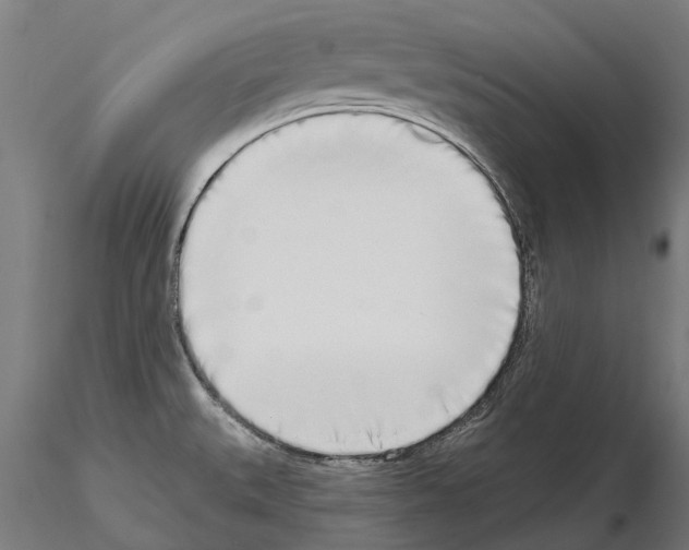 X0000115111527200912081310