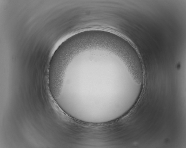 X0000115111530200912081310