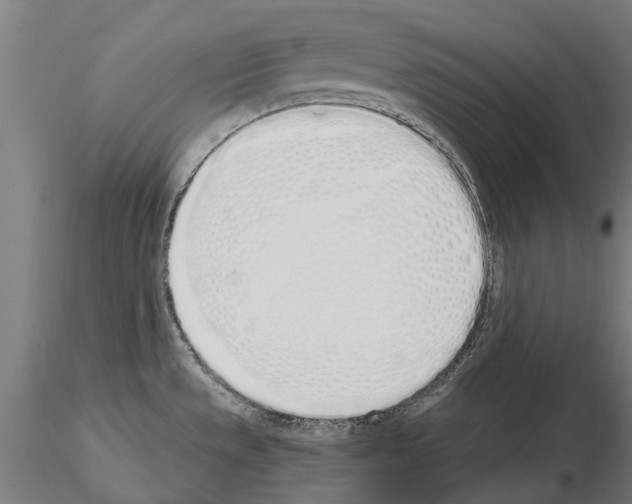 X0000115111533200912081310