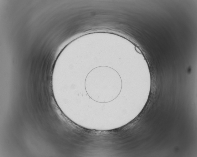 X0000115111534200912081310