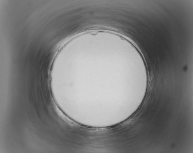 X0000115111535200912081310