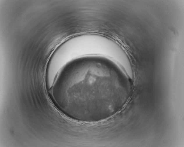 X0000115120002200911101636