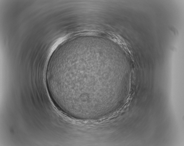 X0000115120003200911101636