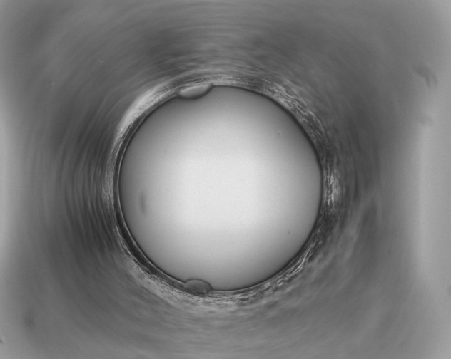 X0000115120004200911101636