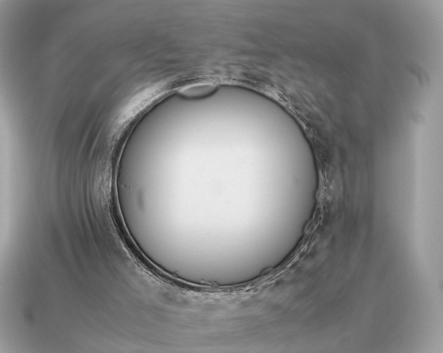 X0000115120005200911101636