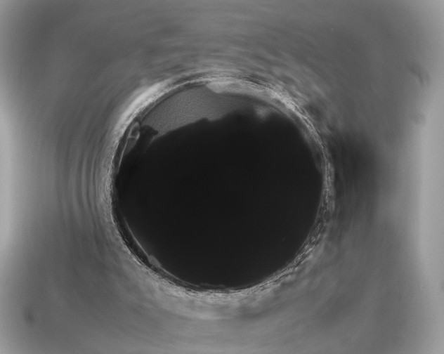 X0000115120007200911101636