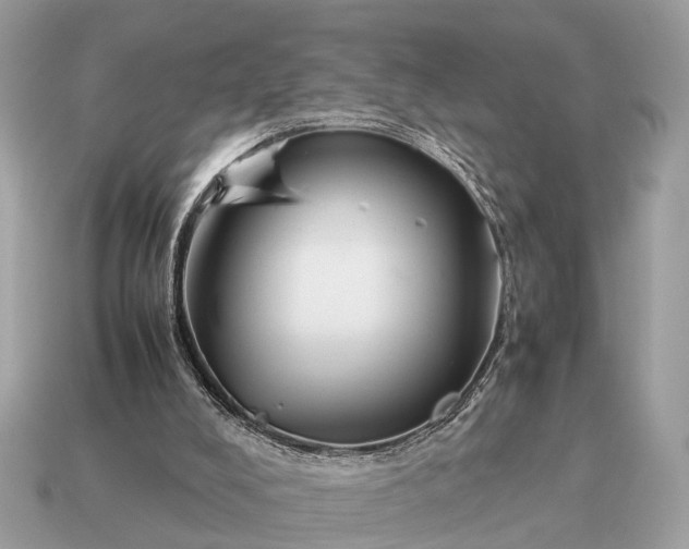 X0000115120008200911101636