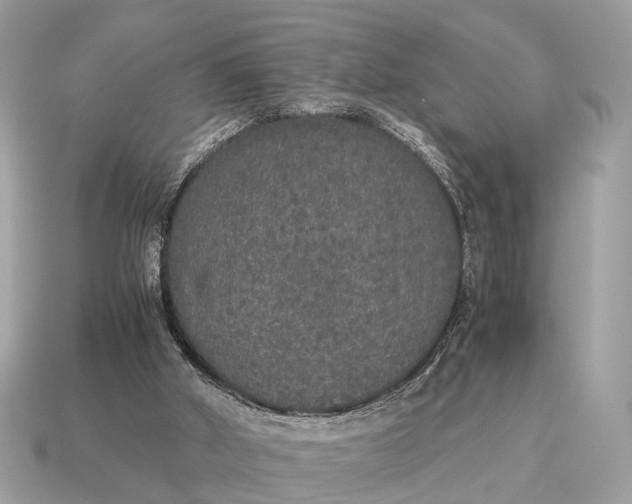 X0000115120010200911101636