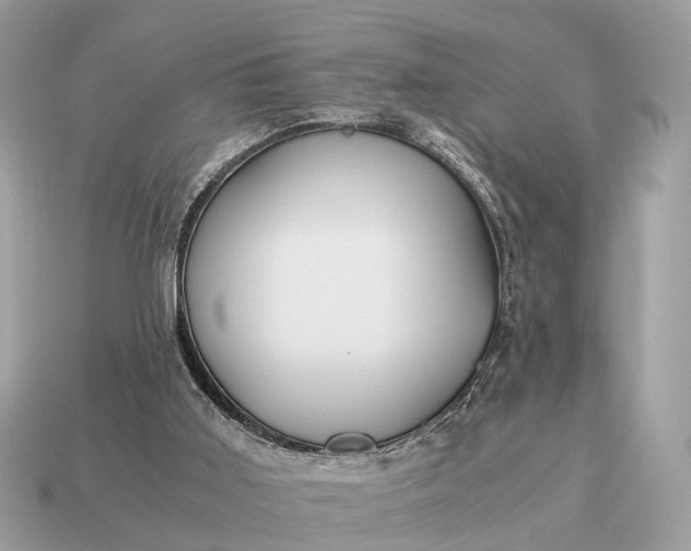 X0000115120011200911101636