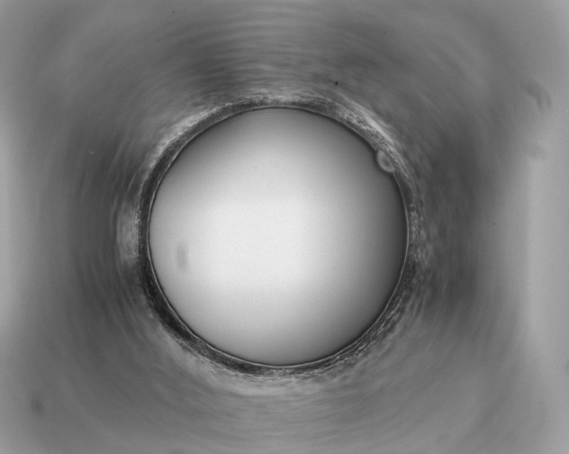 X0000115120012200911101636