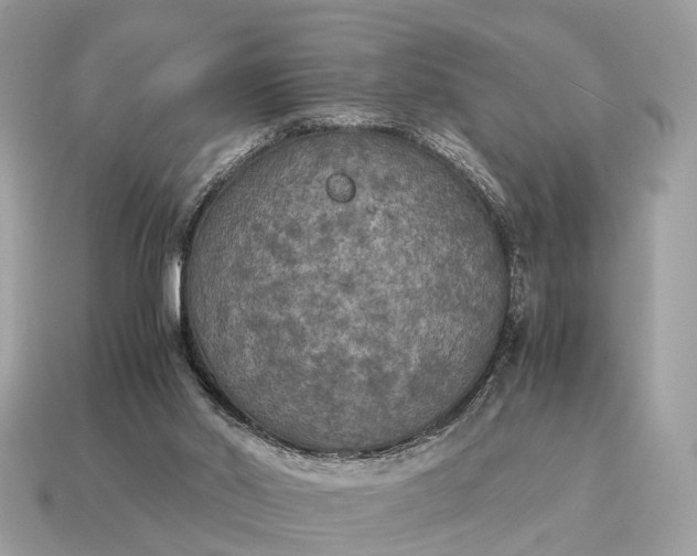 X0000115120014200911101636