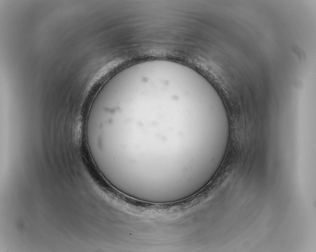 X0000115120016200911101636