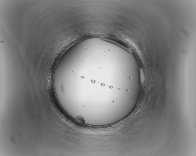 X0000115120017200911101636