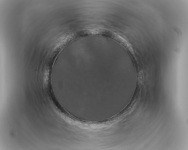 X0000115120018200911101636