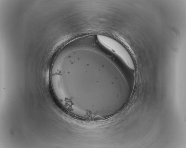 X0000115120019200911101636