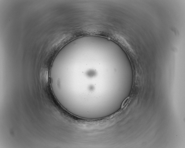 X0000115120021200911101636