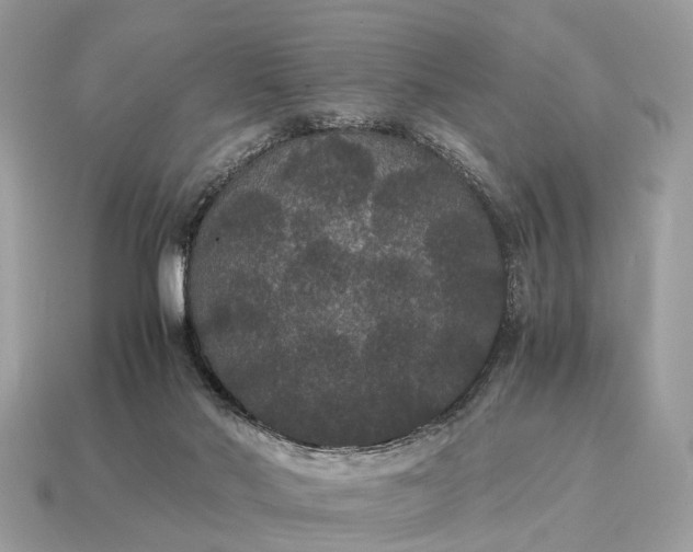 X0000115120022200911101636