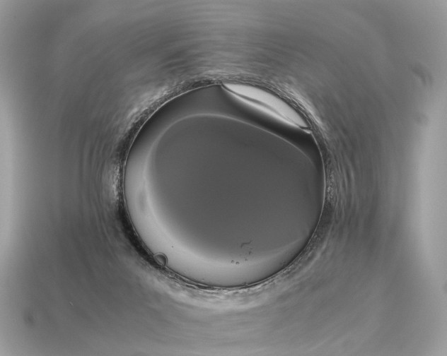 X0000115120023200911101636