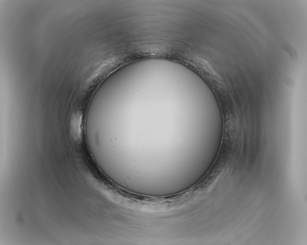 X0000115120024200911101636