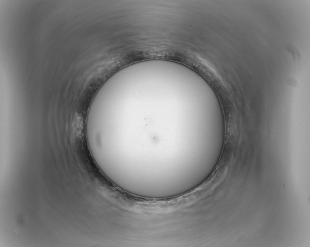 X0000115120025200911101636