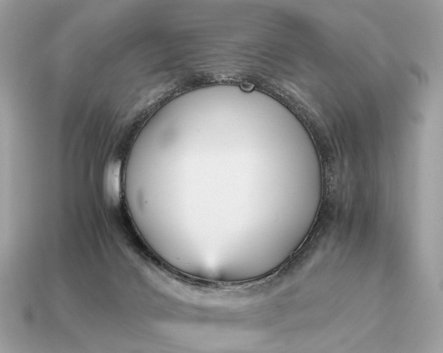 X0000115120028200911101636
