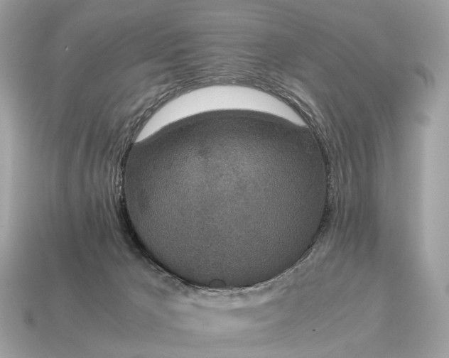 X0000115120029200911101636