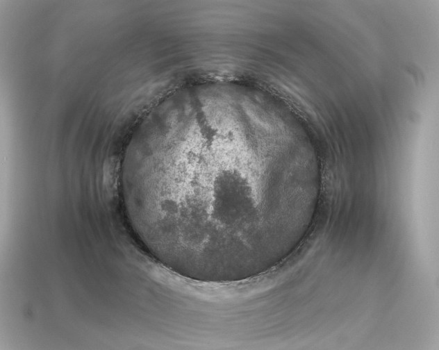 X0000115120030200911101636