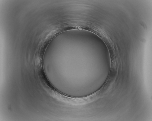 X0000115120031200911101636