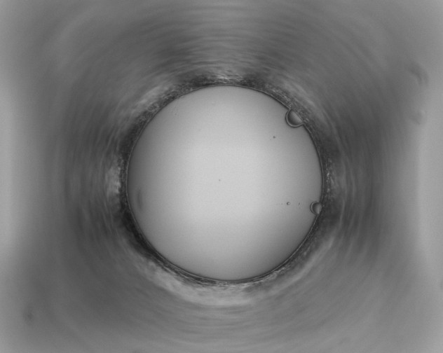 X0000115120032200911101636