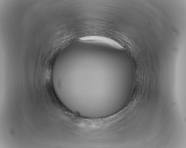 X0000115120033200911101636
