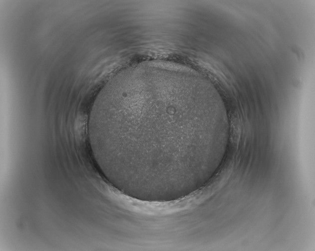 X0000115120034200911101636