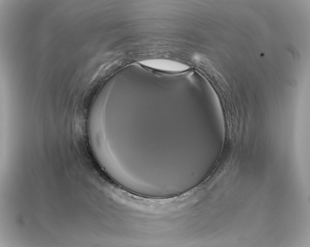 X0000115120035200911101636