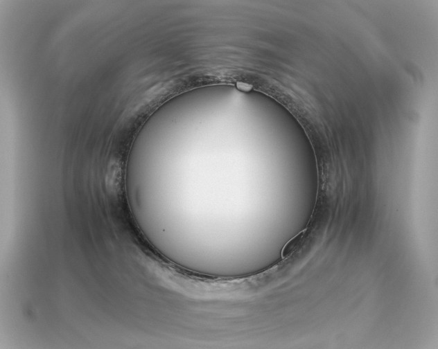 X0000115120036200911101636