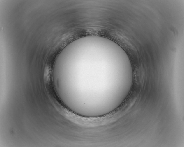 X0000115120038200911101636