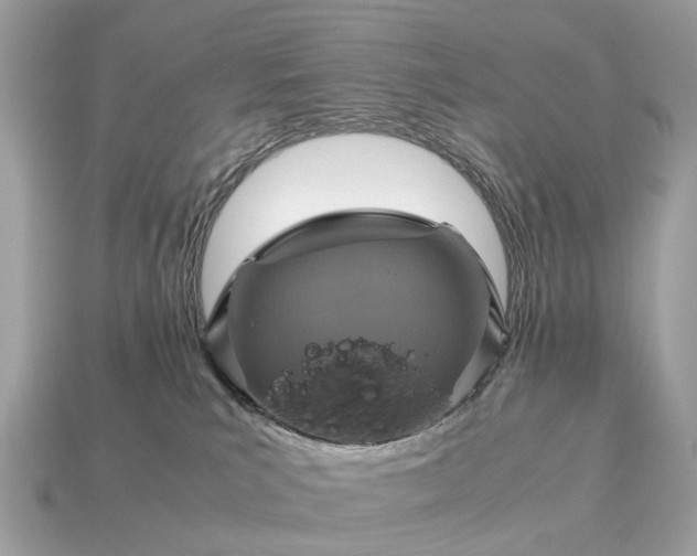 X0000115120039200911101635