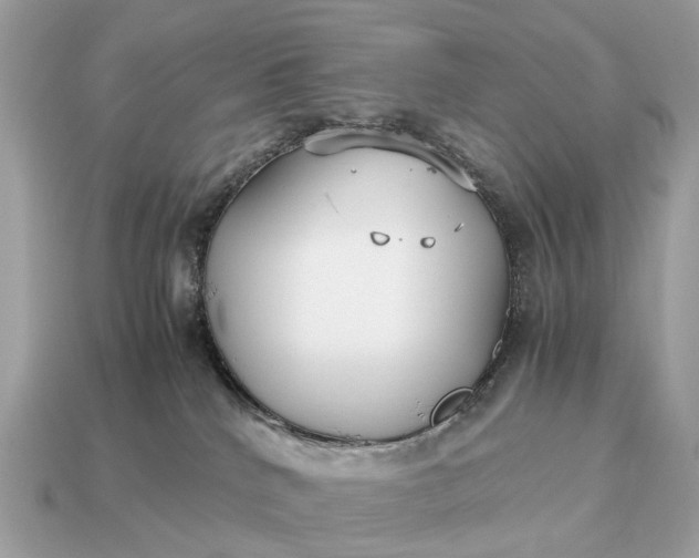 X0000115120040200911101635