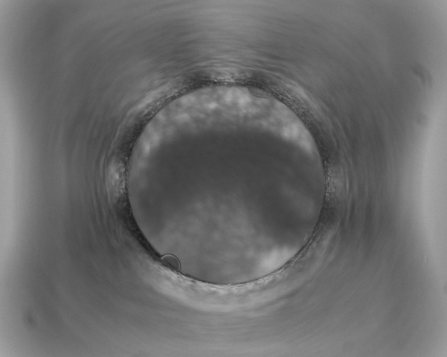 X0000115120043200911101635