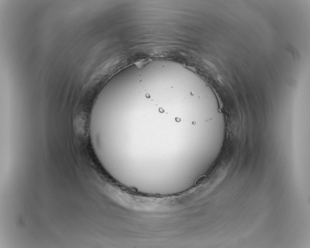 X0000115120044200911101635